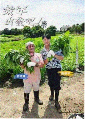 6789影视 极限挑战 综艺